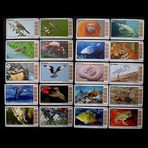 Various types of animal card collections TL9141PB7 * Various types of animals 20 All *XP