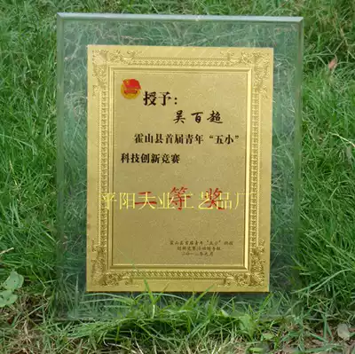 Gold foil acrylic medal customized plexiglass authorized agent Brand Factory Direct free design bronze medal