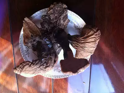 Changbai Mountain wild Ganoderma lucidum purple Ganoderma lucidum Wild