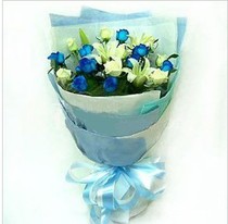 Beijing flowers delivery flowers to girlfriends flowers Beijing Blue Demonetisation