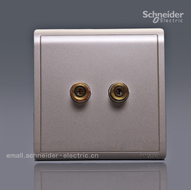 Schneider switch socket Fengshan Drunk Gold Series Single Couplets Sound Socket Two Holes Acoustic Socket