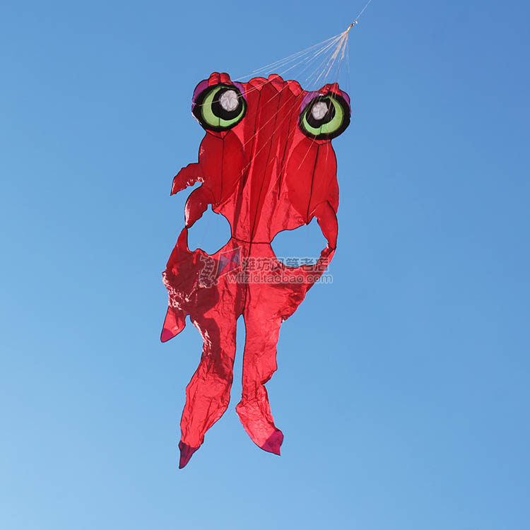 Skywalk Software Water Bubble Eyes Large Red Black Gold Fish Kite Weifang Kite Old Shop Low Price