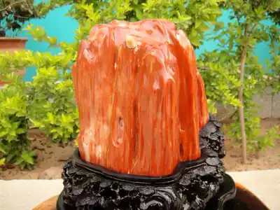 (Mountain Xi Qi Gallery) Dragon Yunjiang Mountain Red) All Red Insect) Fine Tree Tree Jade ornaments) with gift box 91933