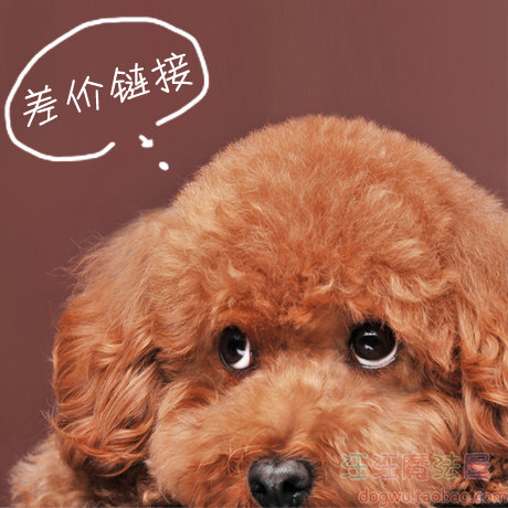 {Wang Wang Magic House} Dedicated link for freight to make up the difference