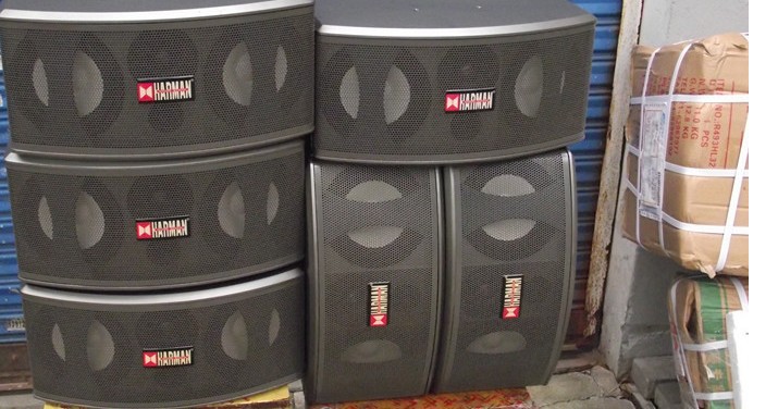 Hammam High Fidelity Karaoke Box room box K song sound box sound quality Double magnetic steel 