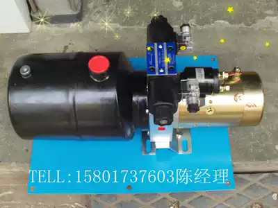 Special hydraulic power unit for car tail plate Hydraulic station can output 10 tons 220V 24V 12V 380V