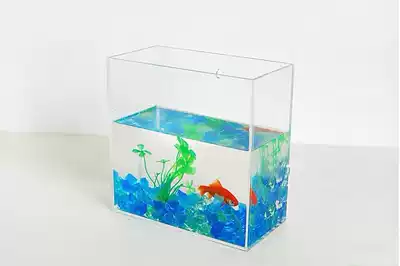 Acrylic cylindrical fish tank Plexiglass aquarium Plastic mini fish tank desktop cylindrical aquarium Square