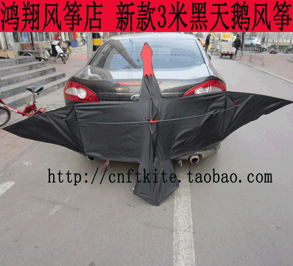 Weifang Hongxiang kite new front extended rod 3 m kite breeze can be used for black swan kite