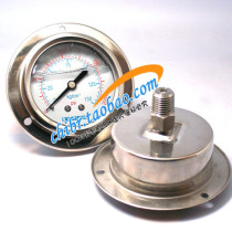 YN-60BFZT stainless steel seismic axial pressure gauge 0-150kg cm2 2000psi m14x1 5