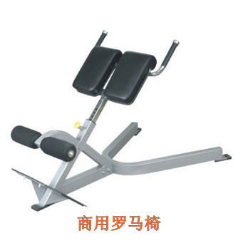 Demes BC8220 Roman Chair Romanden Exercise Waist Exercise Gym Fitness Equipment