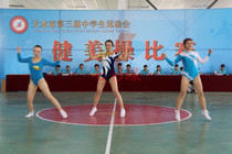 Popular competitive aerobics competition uniforms cheerleading uniforms gymnastics team uniforms