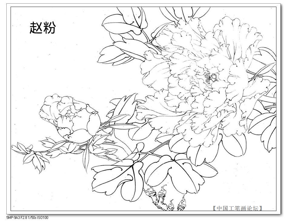 The bottom draft of the work stroke-Zhao Pink