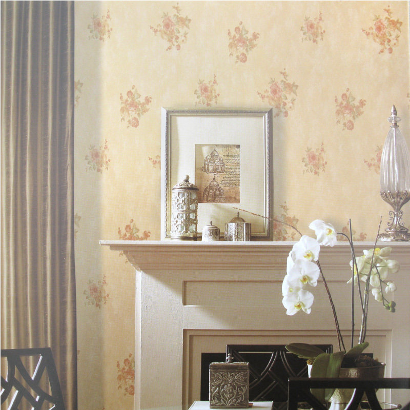 ��������ǽֽMG-006