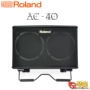 Roland Roland AC-40 Bản hợp xướng Guitar gốc Bài hát dân gian Fingerstyle Loa AC40 - Loa loa loa kéo arirang