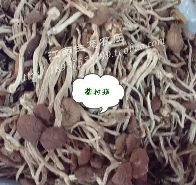 Tea tree mushroom tea tree mushroom dried edible fungus dry goods recommended 250g