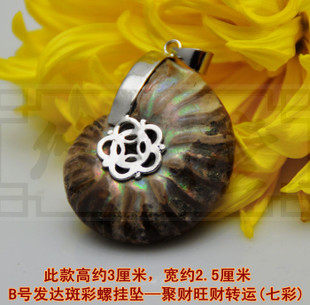 修明堂 开光李居明吉祥物 B号发达斑彩螺挂坠 聚财旺财转运