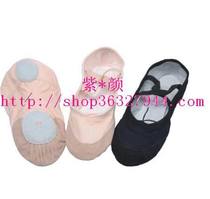 Wuhan Dance Training Leather Head Two Points Soft Bottom Body Shoes Practice Shoe Cat Paw Shoes Light Folding Suitable