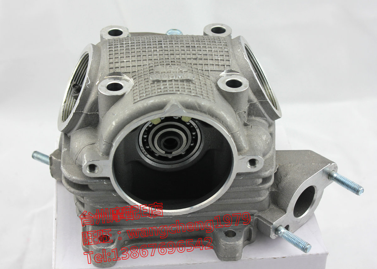Fuxi 100 Qiaoge 100 Flower wedding eagle Liying 100 Cylinder head assembly with cam valve rocker arm