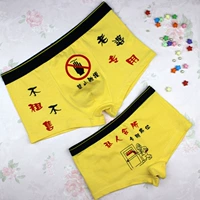 Cặp đôi đồ lót thấp eo cotton dễ thương hoạt hình cotton với từ thoải mái boxer bốn góc phụ nữ đóng hộp phù hợp đồ lót ren quyến rũ