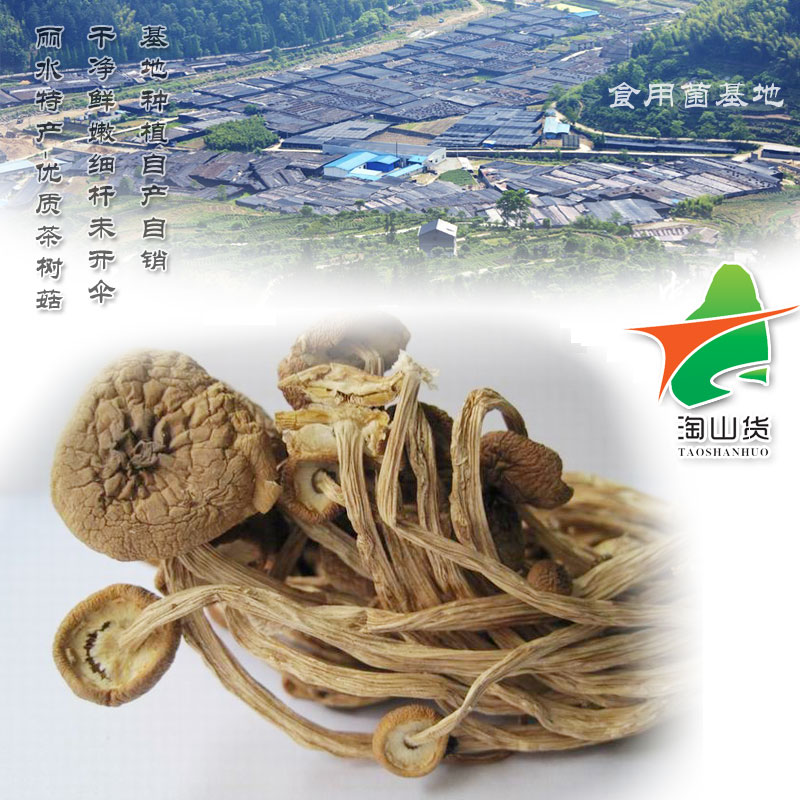 2017 Premium Tea Tree Mushrooms 250g Flavored Ice Mushrooms with Crispy Caps and Tender Handles