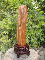 3 6kg Dafugui yellow Burmese wood jade tree jade ornament 26# (Shanxiqi Gallery)