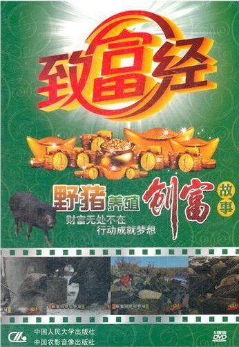 正版现货 野猪养殖创富故事 致富经（5DVD）