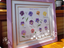 Cross stitch kit French DMC embroidery Aoki and sub-pastoral pansy flower set