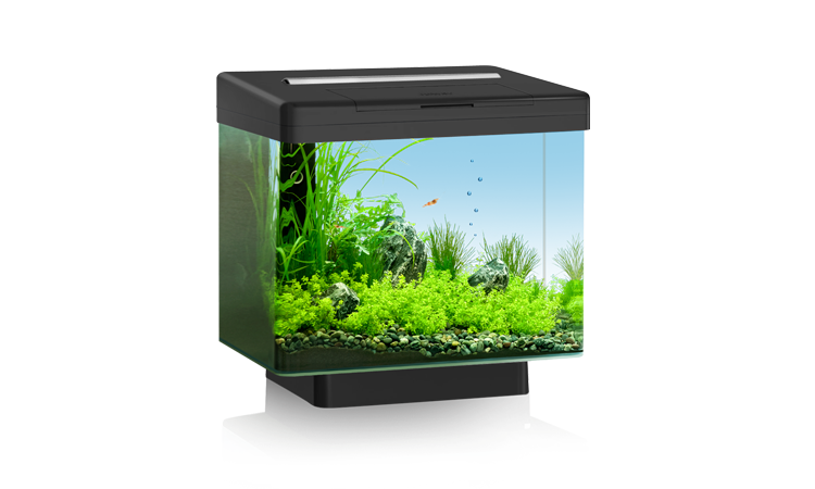 Special German black diamond original mini ecological silent fish tank VIO40 small aquarium LED light