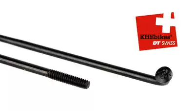 Swiss custom DT champion 2 0 1 8-spoke black silver mountain road folding dead fly