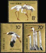 T110 White crane (gold powder good)