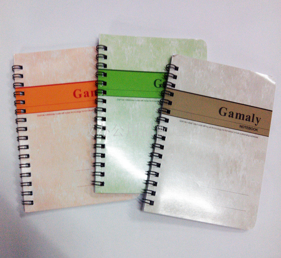 Hauge A4A5A6 Jiaxunda coil Benson 60 pages environmentally friendly without injury to eye white inner page notebook graffiti himself