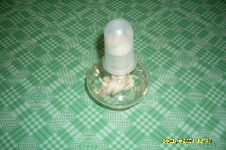 酒精灯 加热酒精灯 带灯帽酒精灯60ml