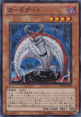 SR-card guard on the face of the 