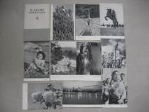 1959 Superior Beauty Edition 2nd National Photographic Art Exhibition Works selected 1 postcard 10 full