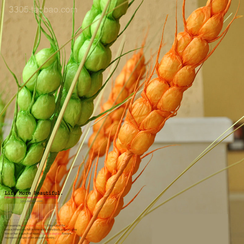 ����������ڼ�