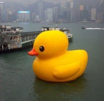 充气大黄鸭香港巨型黄鸭闭气小黄鸭加厚pvc网布鸭水上漂浮大黄鸭