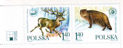 Poland 1999 Stamp Cat and Deer 2 New (jointly issued with Ukraine)