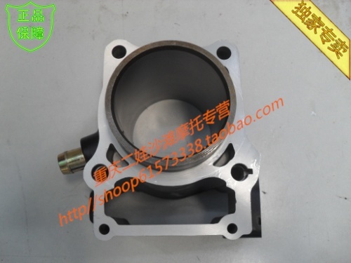 Xin Yuan X2 X2X X2X 300CC four valve engine sleeve cylinder assembly
