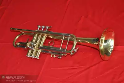 Trumpet instrument Grace GTR510 lacquered gold professional trumpet