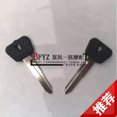 Locomotive Accessories Mountain Leaf FZR250FZR400 Dolphin 250 Crystal Light Key Embryonic Key Handle