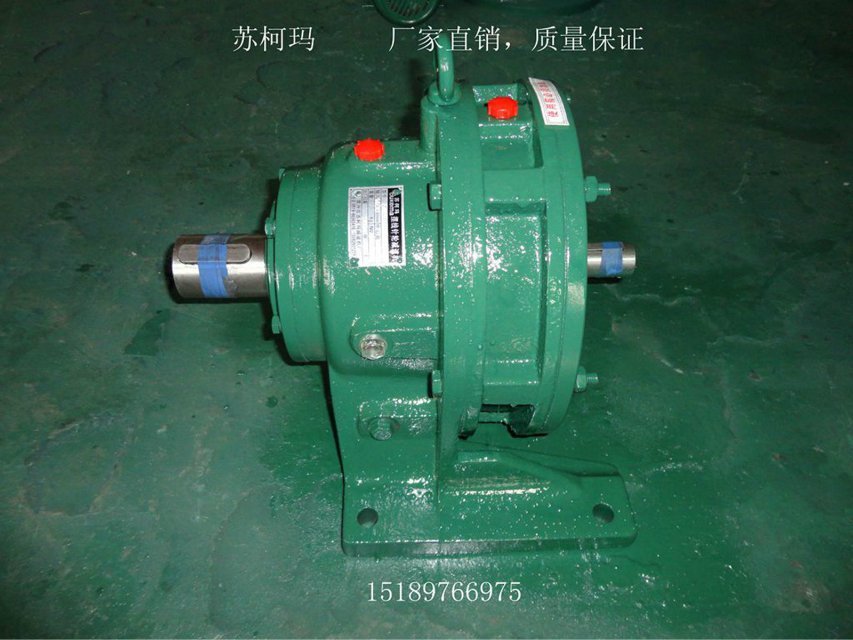 Factory direct sales Changzhou Su kema cycloidal needle wheel reducer BWXW double shaft two-end shaft pulley transmission