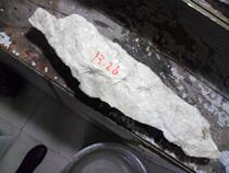 No. 082906 jade raw material bare stone natural raw stone Qinghai Kunlun Yushan stock white jade 13 26 kg