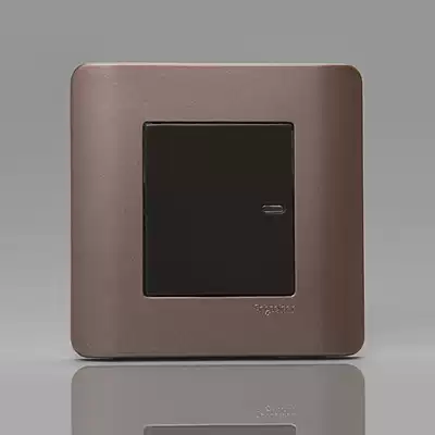 Schneider tap series switch panel Multi-control switch midway switch three-control switch E8431 I