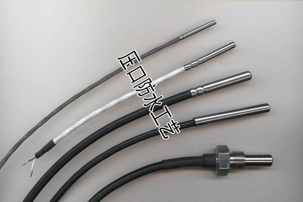 PT100 thermal resistance concrete RTD temperature sensor waterproof process Germany TJC2 54 terminals