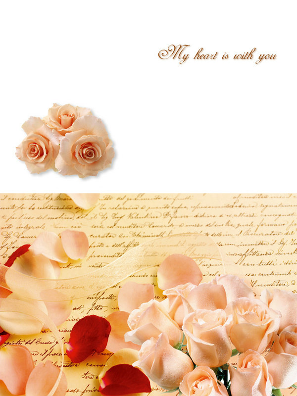 ������ҵ�ֻ���������SG-024