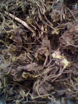 Chinese herbal medicine Chinese herbal medicine horsetail Lotus 500g