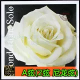 [Пять корон] немецкие струны для скрипки PIRASTRO Wondertone Solo, нейлоновые струны 410221