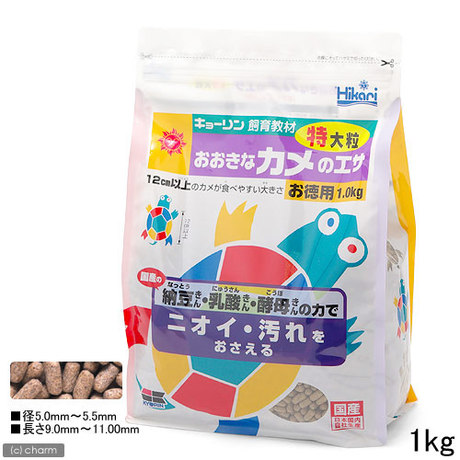 Special price Japan original clothes high enough the hikari water turtle semi-water tortoise into tortoise grain large grain tortoise