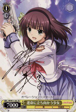 WS Black and White Biple Wing Card ABKW Fate Establishment かううううううううううううううううううう\12358