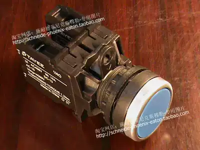 Tianyi TAYEE flat head button 1 normally open 1 normally closed Phi 22 CE TUV CCS IP65 LA42P-11